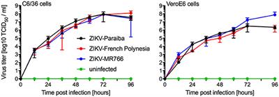 Lethal Zika Virus Disease Models in Young and Older Interferon α/β Receptor Knock Out Mice